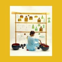 Ros Bandt And Lime - Soft And Fragile in der Gruppe VINYL bei Bengans Skivbutik AB (4108644)