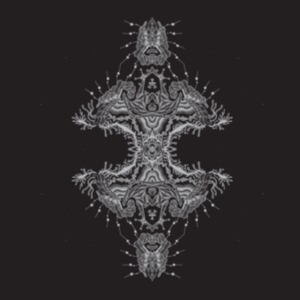 Pfirter - Altered States in der Gruppe VINYL / Pop-Rock bei Bengans Skivbutik AB (4108662)