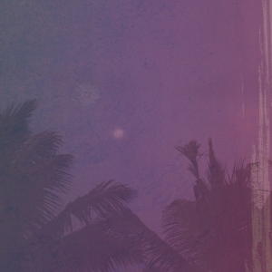 Ekca Liena - Skyward Vernacular in der Gruppe CD / Ambient,Dance-Techno bei Bengans Skivbutik AB (4109239)