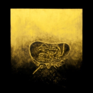 Luna Honey - Ballast in der Gruppe VINYL / Pop-Rock bei Bengans Skivbutik AB (4110121)