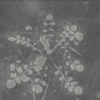 Sabla - Music For Melted Floors in der Gruppe VINYL / Pop-Rock bei Bengans Skivbutik AB (4110145)