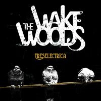 Wake Woods - Treselectrica in der Gruppe CD / Pop-Rock bei Bengans Skivbutik AB (4112163)