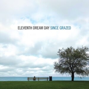 Eleventh Dream Day - Since Grazed in der Gruppe CD bei Bengans Skivbutik AB (4113268)