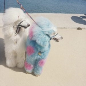 Exek - Advertise Here in der Gruppe CD / Pop-Rock bei Bengans Skivbutik AB (4113274)