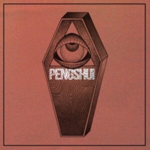 Pengshui - Destroy Yourself (Vinyl) in der Gruppe Övrigt /  bei Bengans Skivbutik AB (4115248)