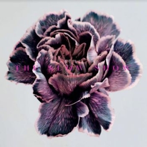 Slow Show - Still Life in der Gruppe CD / Pop bei Bengans Skivbutik AB (4115528)