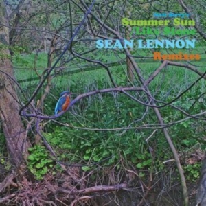 Berry Matt - Summer Sun (Sean Ono Lennon Remix) in der Gruppe VINYL / Pop-Rock,World Music bei Bengans Skivbutik AB (4116095)