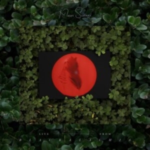 Moses Sumney - Live From Blackalachia (Clear Green in der Gruppe VINYL / Pop-Rock bei Bengans Skivbutik AB (4116301)