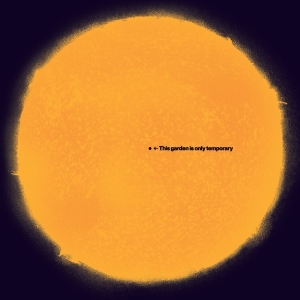 White Andy - This Garden Is Only Temporary in der Gruppe CD bei Bengans Skivbutik AB (4117807)