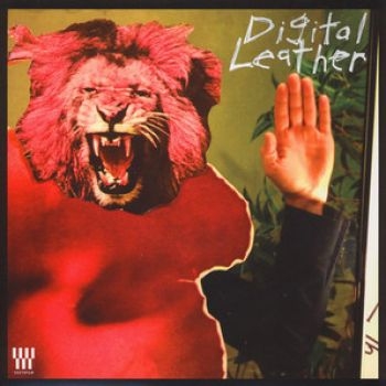 Hussy/Digital Leather - Split Lp in der Gruppe VINYL / Rock bei Bengans Skivbutik AB (4117916)
