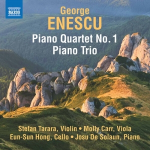 Enescu George - Piano Trio In A Minor & Piano Quart in der Gruppe CD bei Bengans Skivbutik AB (4119351)