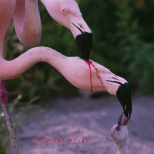 Without Waves - Comedian in der Gruppe CD bei Bengans Skivbutik AB (4120126)