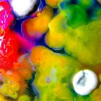 Guerilla Toss - Famously Alive (Clear Purple Vinyl) in der Gruppe VINYL / Pop-Rock bei Bengans Skivbutik AB (4120253)