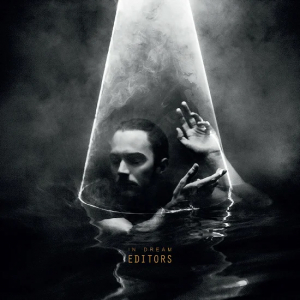 Editors - In Dream (Clear Vinyl) in der Gruppe VINYL / Pop-Rock bei Bengans Skivbutik AB (4125640)