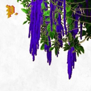 Proper. - Great American Novel (Clear & Splat in der Gruppe VINYL / Pop-Rock bei Bengans Skivbutik AB (4126943)