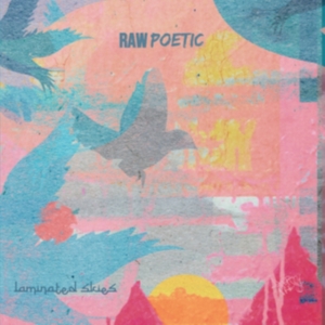 Raw Poetic And Damu The Fudgemunk - Laminated Skies in der Gruppe CD bei Bengans Skivbutik AB (4126989)