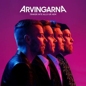 Arvingarna - Tänker Inte Alls Gå Hem in der Gruppe Minishops / Dansband bei Bengans Skivbutik AB (4128372)