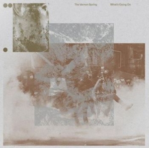 Vernon Spring - What's Going On in der Gruppe VINYL / Rock bei Bengans Skivbutik AB (4128600)