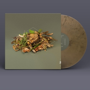 Fergus Mccreadie - Forest Floor in der Gruppe VINYL / Jazz bei Bengans Skivbutik AB (4128602)