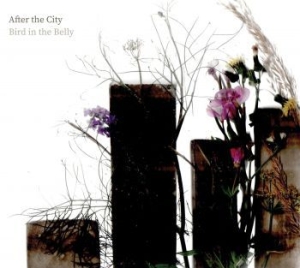 Bird In The Belly - After The City in der Gruppe CD bei Bengans Skivbutik AB (4128736)