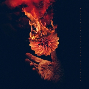Wolves At The Gate - Eulogies in der Gruppe CD / Hårdrock bei Bengans Skivbutik AB (4128766)