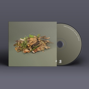 Fergus Mccreadie - Forest Floor in der Gruppe CD / Jazz bei Bengans Skivbutik AB (4128784)