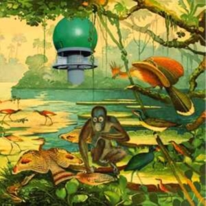 Various Artists - Radar 2 in der Gruppe VINYL / Pop-Rock bei Bengans Skivbutik AB (4131518)