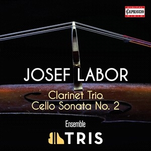 Labor Josef - Clarinet Trio Cello Sonata No. 2 in der Gruppe Externt_Lager / Naxoslager bei Bengans Skivbutik AB (4132885)