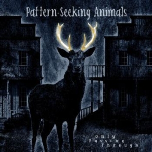 Pattern-Seeking Animals - Only Passing Through in der Gruppe VINYL / Hårdrock,Pop-Rock bei Bengans Skivbutik AB (4132969)