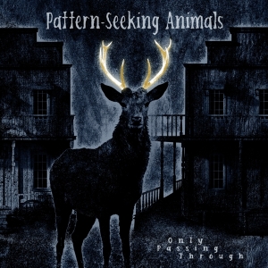 Pattern-Seeking Animals - Only Passing Through in der Gruppe VINYL / Hårdrock,Pop-Rock bei Bengans Skivbutik AB (4132969)