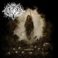 Nagelfar - Harvest (White) in der Gruppe VINYL / Hårdrock bei Bengans Skivbutik AB (4134534)