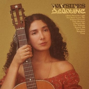 Bedouine - Waysides in der Gruppe VINYL / Worldmusic/ Folkmusik bei Bengans Skivbutik AB (4135525)