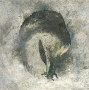 Suma - Ashes in der Gruppe CD / Hårdrock bei Bengans Skivbutik AB (4135818)