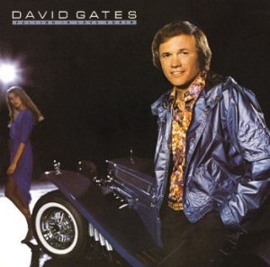 Gates David - Falling In Love Again in der Gruppe CD bei Bengans Skivbutik AB (4135835)