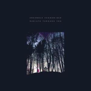 Ensemble Economique - Radiate Through You (Pink) in der Gruppe VINYL / Rock bei Bengans Skivbutik AB (4136458)