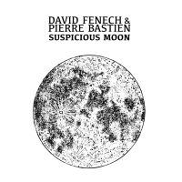 Fenech David & Pierre Bastien - Suspicious Moon in der Gruppe VINYL bei Bengans Skivbutik AB (4137108)