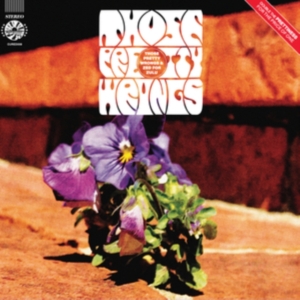 Those Pretty Wrongs - Those Pretty Wrongs/Zed For Zulu in der Gruppe Övrigt /  bei Bengans Skivbutik AB (4137146)