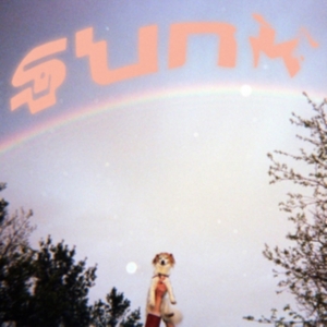 Babehoven - Sunk in der Gruppe CD / Pop-Rock bei Bengans Skivbutik AB (4139242)