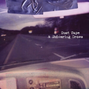 These Arms Are Snakes - Duct Tape & Shivering Crows (Green in der Gruppe VINYL / Pop-Rock bei Bengans Skivbutik AB (4141384)