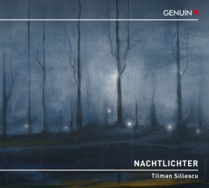 Sillescu Tilman - Nachtlichter in der Gruppe Externt_Lager / Naxoslager bei Bengans Skivbutik AB (4142838)