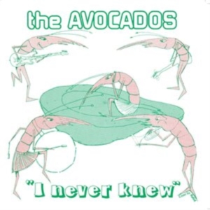 Avocados - I Never Knew in der Gruppe VINYL / Pop-Rock bei Bengans Skivbutik AB (4143142)