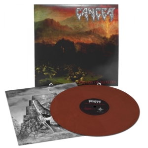 Cancer - Sins Of Mankind (Mahogany Vinyl Lp) in der Gruppe VINYL / Hårdrock bei Bengans Skivbutik AB (4143200)