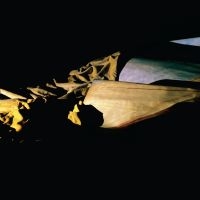 Holy Other - Lieve in der Gruppe CD / Pop-Rock bei Bengans Skivbutik AB (4143420)