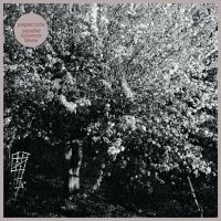 Papercuts - Parallel Universe Blues in der Gruppe VINYL bei Bengans Skivbutik AB (4146691)