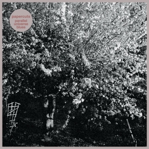 Papercuts - Parallel Universe Blues in der Gruppe VINYL / Pop-Rock bei Bengans Skivbutik AB (4146691)