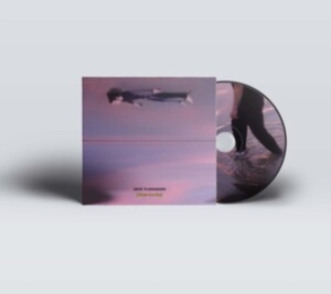Flanagan Jake - Rides The Sky in der Gruppe CD bei Bengans Skivbutik AB (4147271)