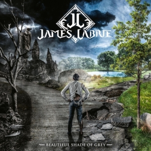 Labrie James - Beautiful Shade Of Grey in der Gruppe VINYL / Rock bei Bengans Skivbutik AB (4147709)