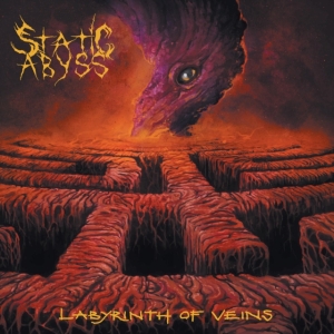 Static Abyss - Labyrinth Of Veins in der Gruppe VINYL / Hårdrock bei Bengans Skivbutik AB (4147950)