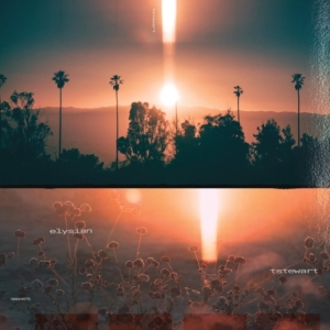 Tstewart Machinedrum - Elysian in der Gruppe Övrigt / bei Bengans Skivbutik AB (4147971)