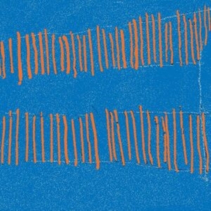 Gray Thomas & Liam Ebbs - Blue in der Gruppe VINYL / Reggae bei Bengans Skivbutik AB (4150616)